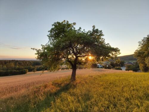 Impressionen 2020 (12)