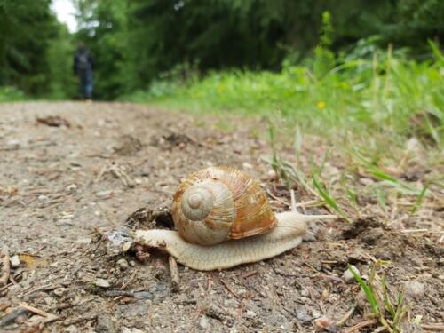 Impressionen 2020 (2)