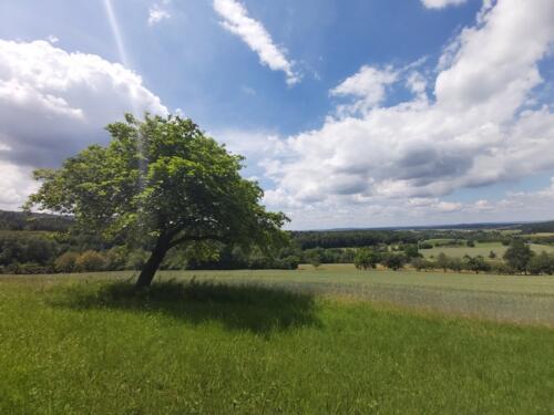 Impressionen 2020 (7)