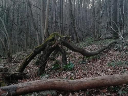 naturerlebnisse-15