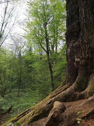 naturerlebnisse-16
