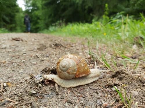 naturerlebnisse-4